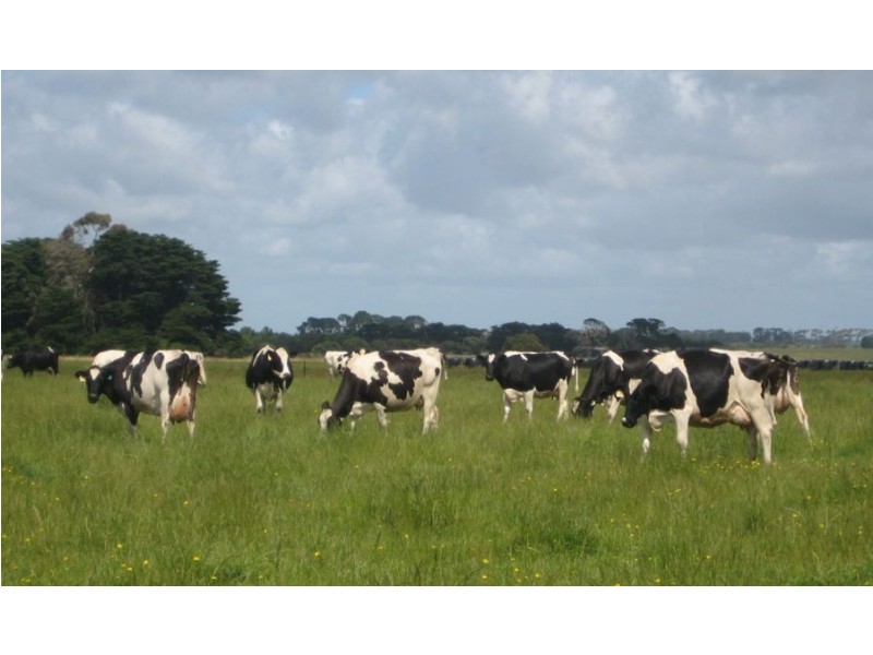 Lot 2 Bryan O’Lynn Road, Purnim VIC 3278