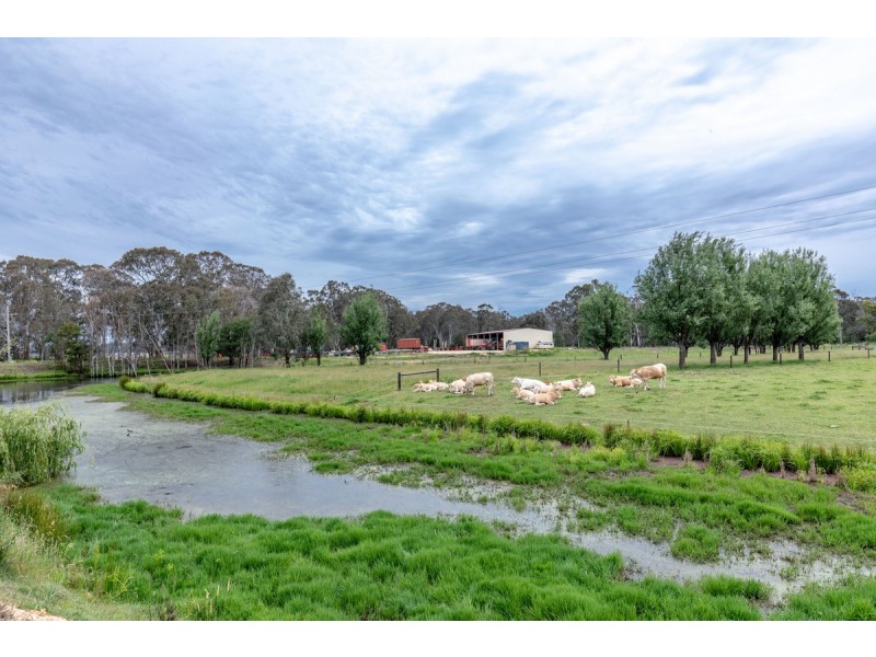 456 Bundalaguah Road, Maffra VIC 3860