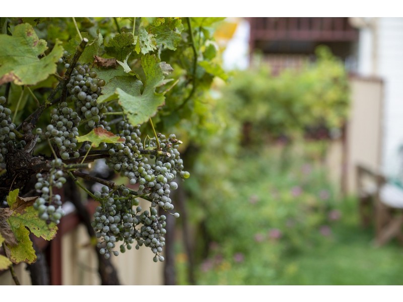 76 Tyers Street, Stratford VIC 3862