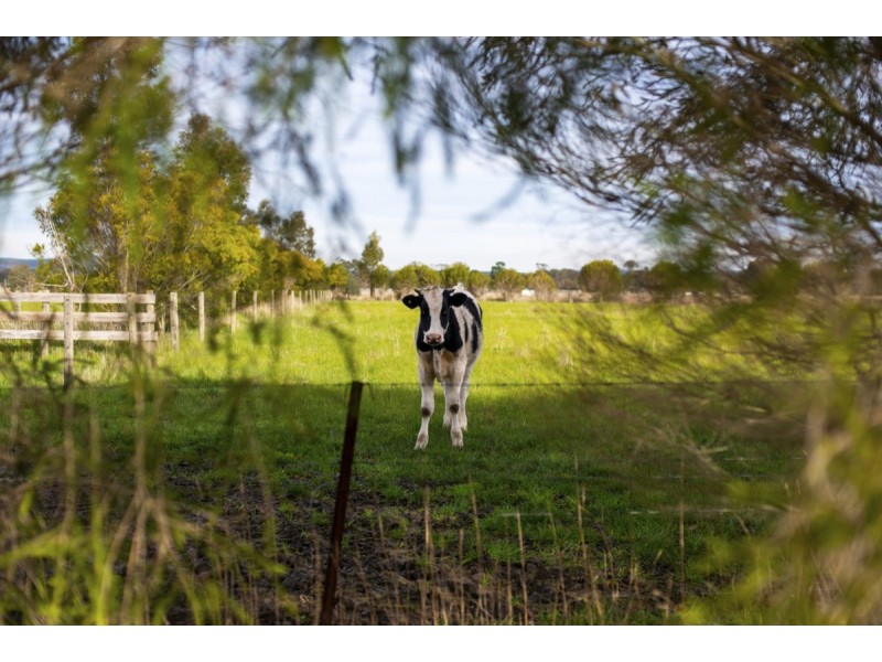 33-59 Cricket Street, Rosedale VIC 3847