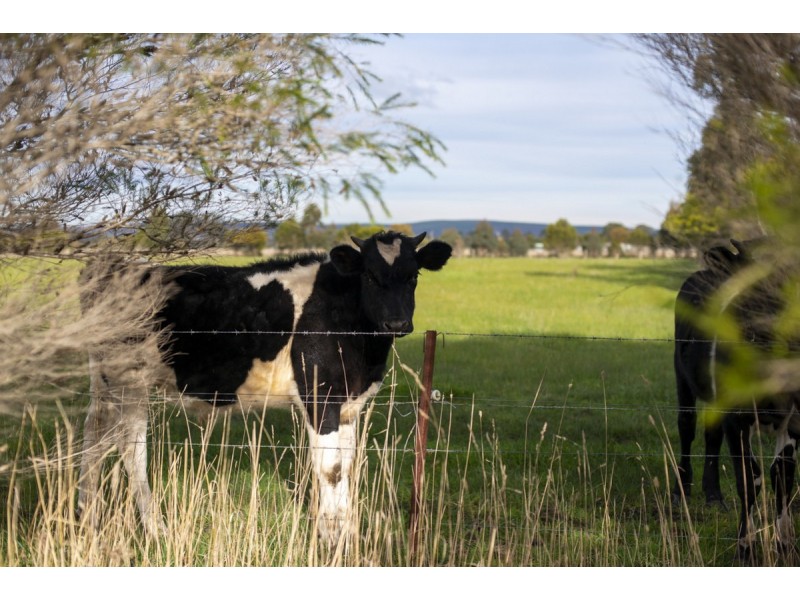 33-59 Cricket Street, Rosedale VIC 3847