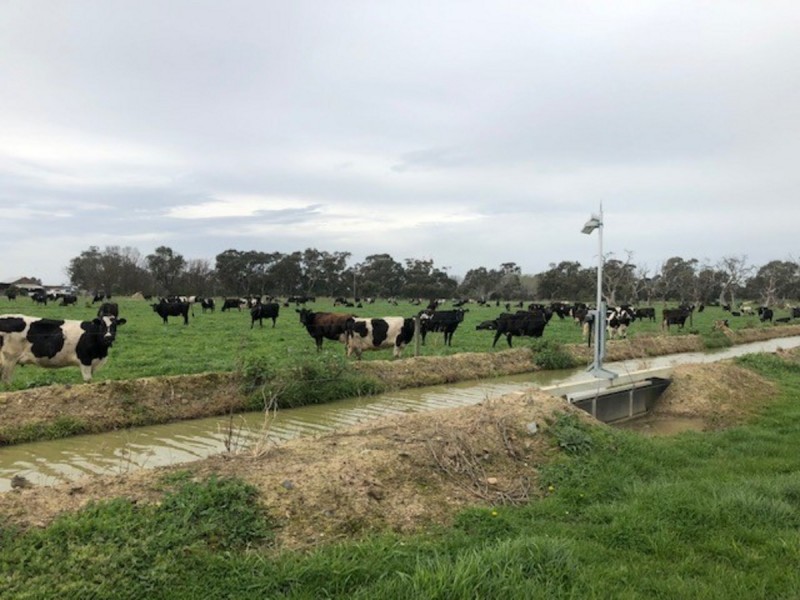 978 Rosedale-Maffra Road, Nambrok VIC 3847