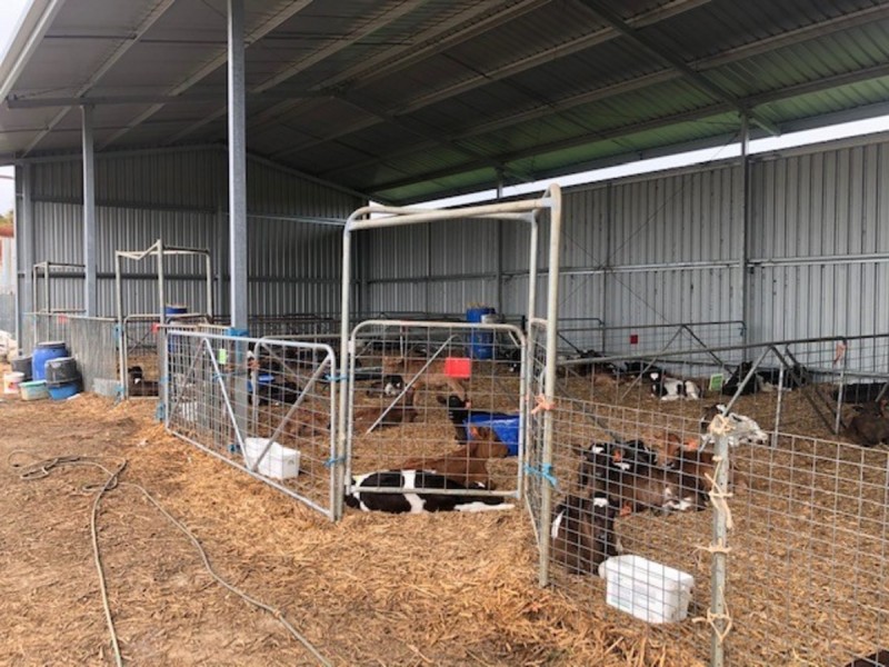 978 Rosedale-Maffra Road, Nambrok VIC 3847