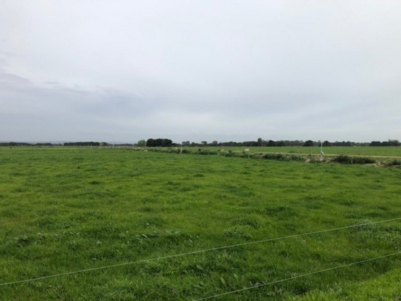 978 Rosedale-Maffra Road, Nambrok VIC 3847