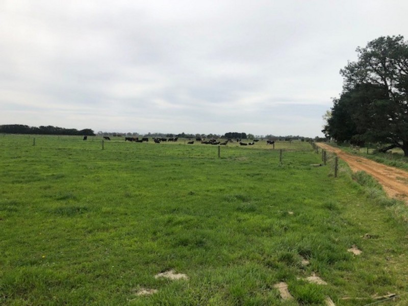 978 Rosedale-Maffra Road, Nambrok VIC 3847