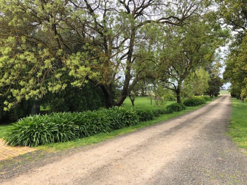 978 Rosedale-Maffra Road, Nambrok VIC 3847