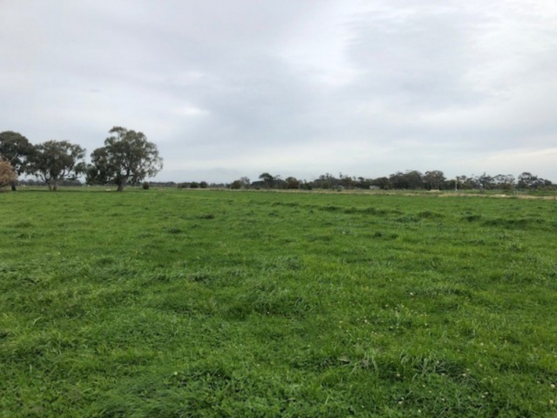 978 Rosedale-Maffra Road, Nambrok VIC 3847