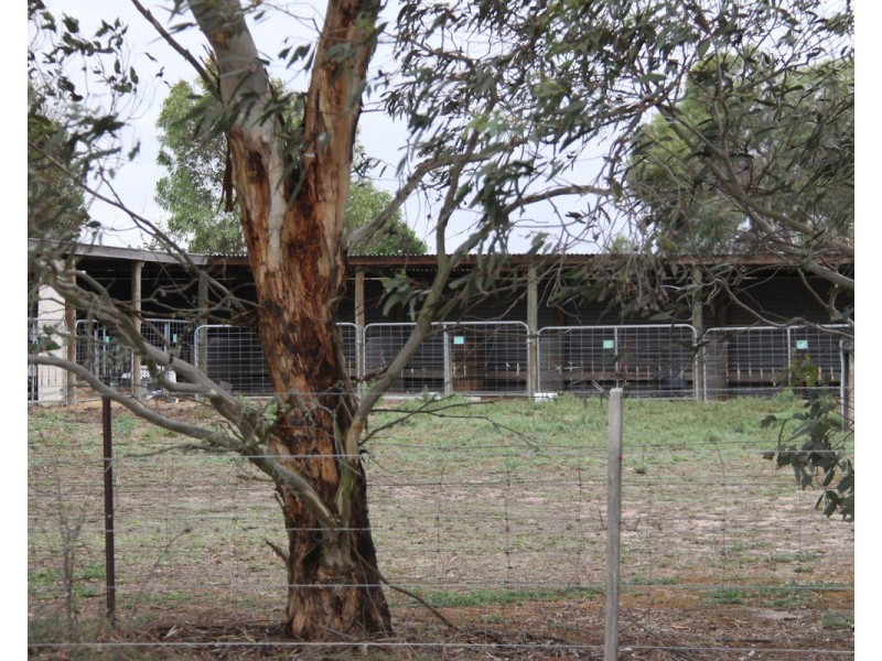 Pearsondale Vic, Pearsondale VIC 3851