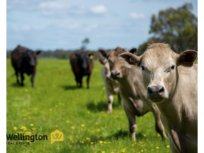 236 Rosedale-Flynns Creek Road, Rosedale VIC 3847