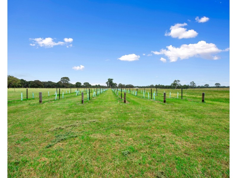 942 Briagolong Road, Briagolong VIC 3860