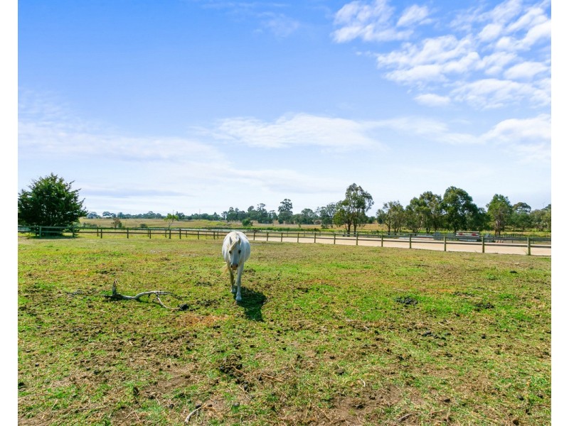 1711 Settlement Road, Pearsondale VIC 3851
