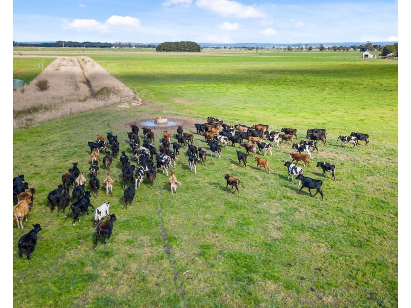 1164 Denison Road, Denison VIC 3858