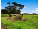 1164 Denison Road, Denison VIC 3858