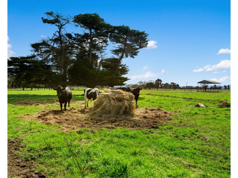 1164 Denison Road, Denison VIC 3858