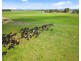 1164 Denison Road, Denison VIC 3858