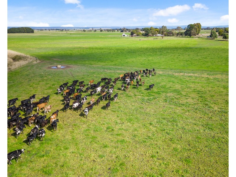 1164 Denison Road, Denison VIC 3858