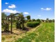 22D Landy Lane, Briagolong VIC 3860