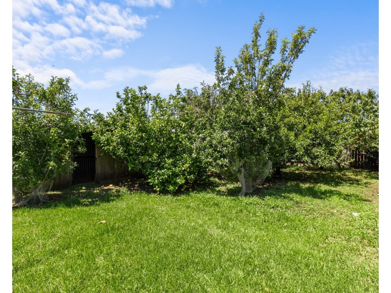 16 Hoddle Street, Sale VIC 3850