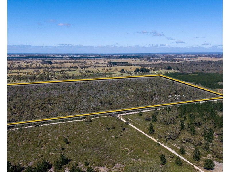 16 Centella Lane, Longford VIC 3851