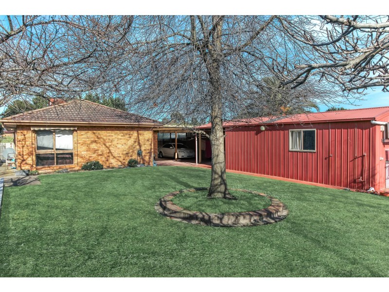 53 Shetland Street, Endeavour Hills VIC 3802