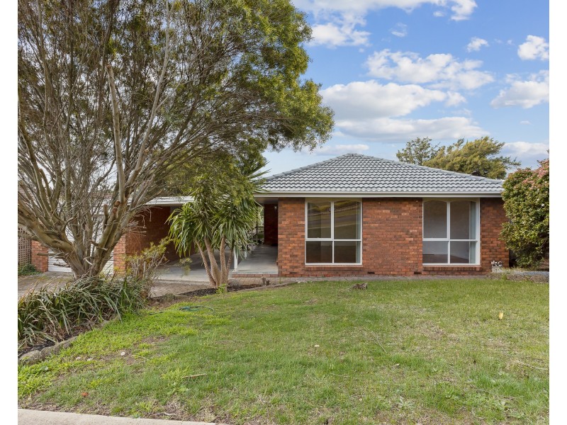 3 wevlin Close, Endeavour Hills VIC 3802
