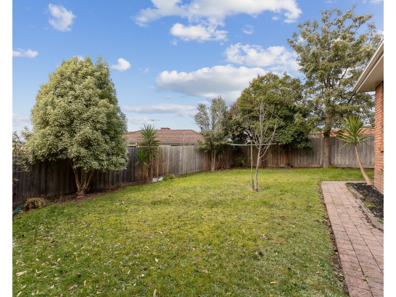 3 wevlin Close, Endeavour Hills VIC 3802