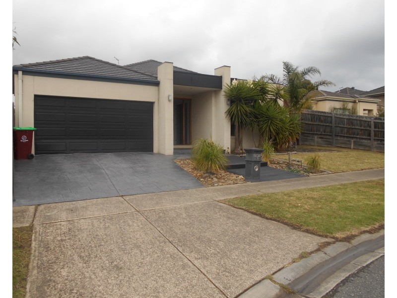 19 Orbison Court, Endeavour Hills VIC 3802