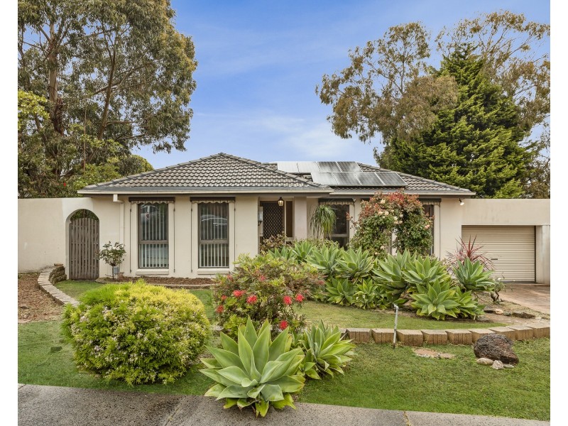 6 Tasman Place, Endeavour Hills VIC 3802