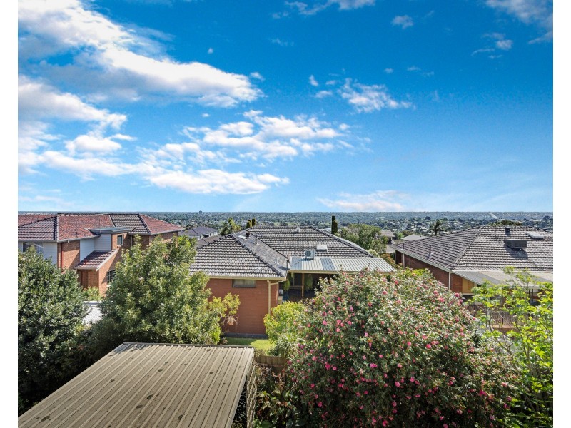 3 Dozey Place, Endeavour Hills VIC 3802