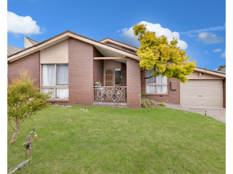 53 Daniel Solander Drive, Endeavour Hills VIC 3802