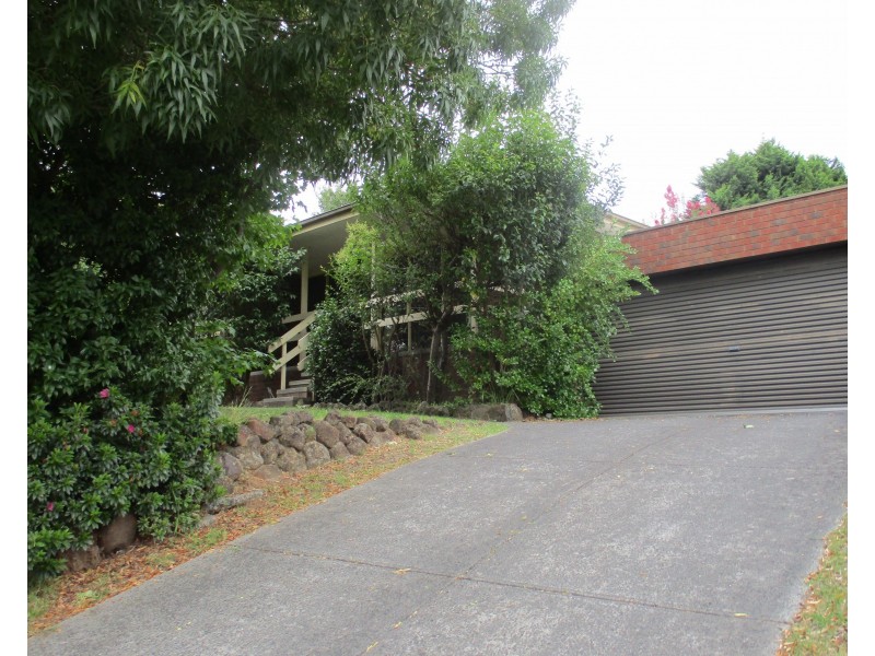 11 Terara Court, Endeavour Hills VIC 3802