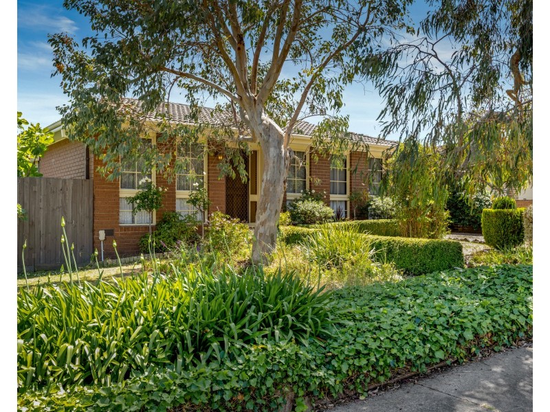 1 Belsize Court, Endeavour Hills VIC 3802
