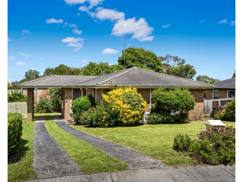 16 Ravenhill Crescent, Endeavour Hills VIC 3802