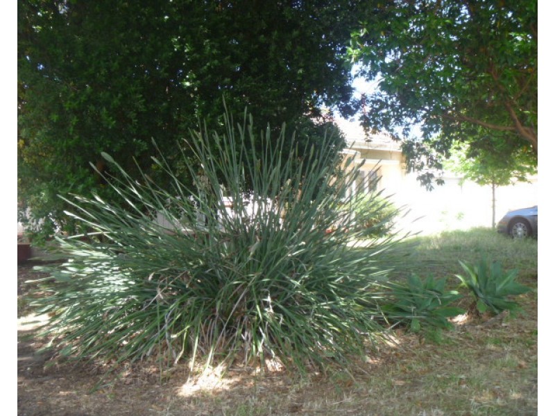 27 Tweeddale Road, Applecross WA 6153