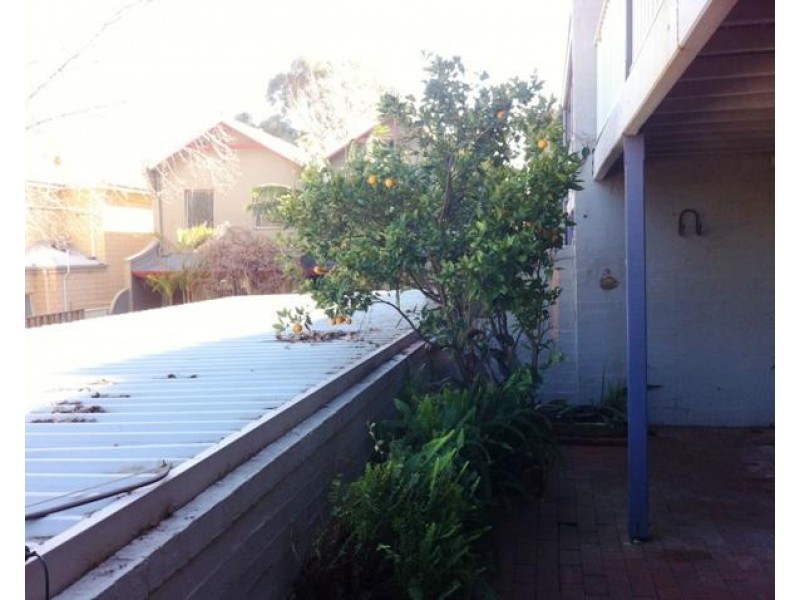 5/44-46 South Street, Fremantle WA 6160