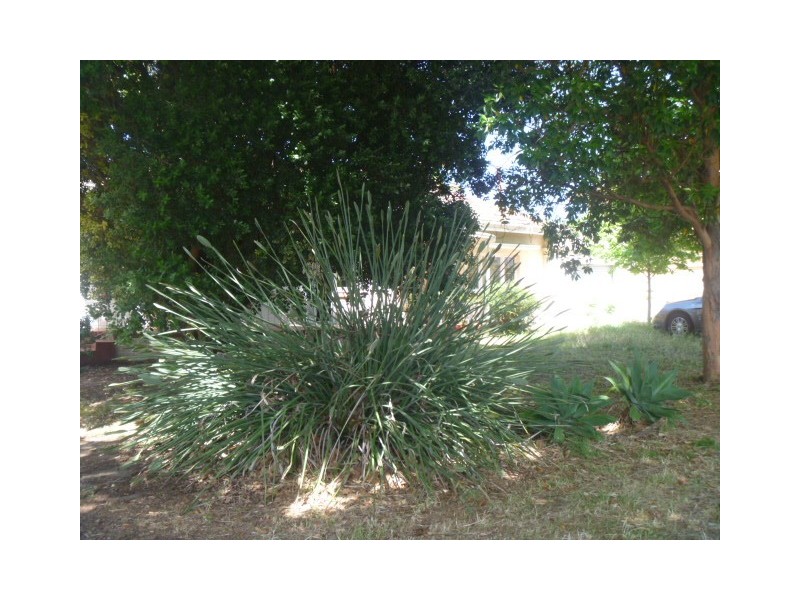 27 Tweeddale Road, Applecross WA 6153