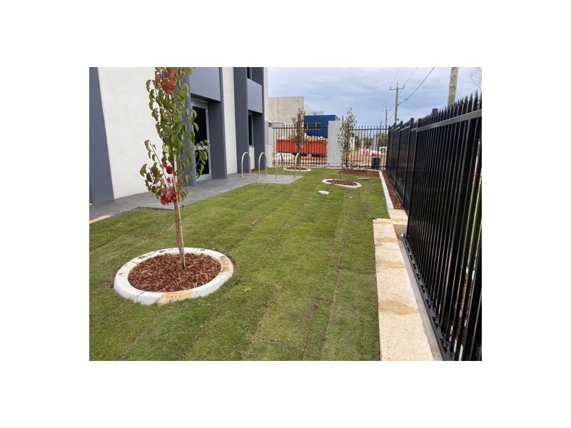 5 Murphy St, O’connor WA 6163