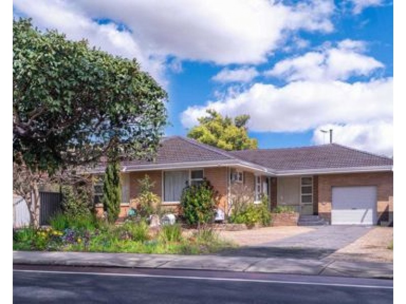 117 Riseley Street, Ardross WA 6153