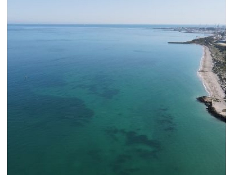 16 Chelydra Point, North Coogee WA 6163