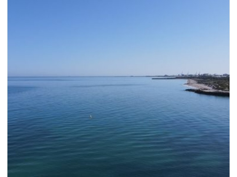 16 Chelydra Point, North Coogee WA 6163