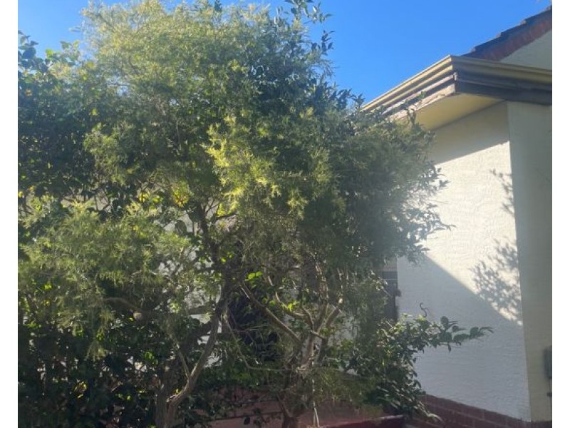 58 Kintail Road, Applecross WA 6153