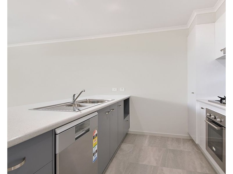 19 Wilkinson Street, Caloundra QLD 4551
