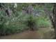 47-63 Main Creek Rd, Tanawha QLD 4556