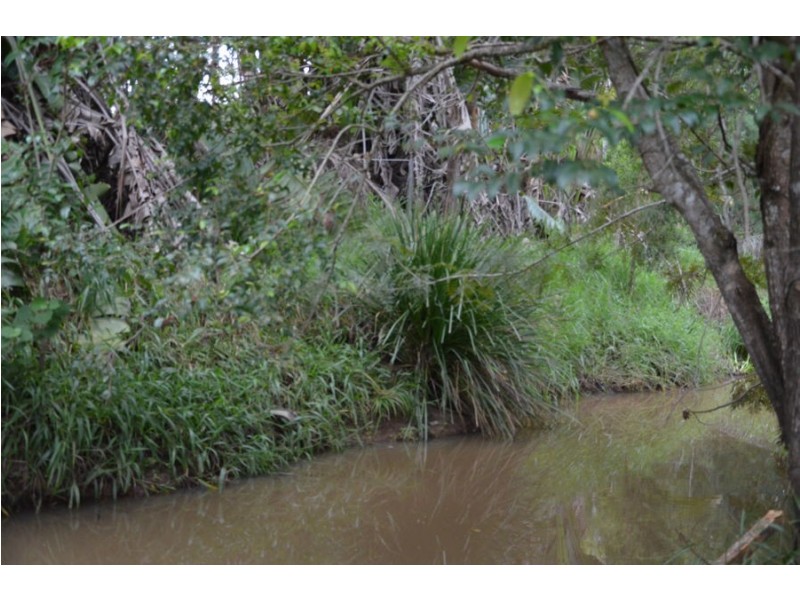 47-63 Main Creek Rd, Tanawha QLD 4556