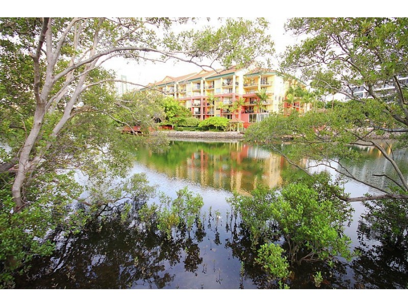 5/59a Peninsular Dr, Surfers Paradise QLD 4217