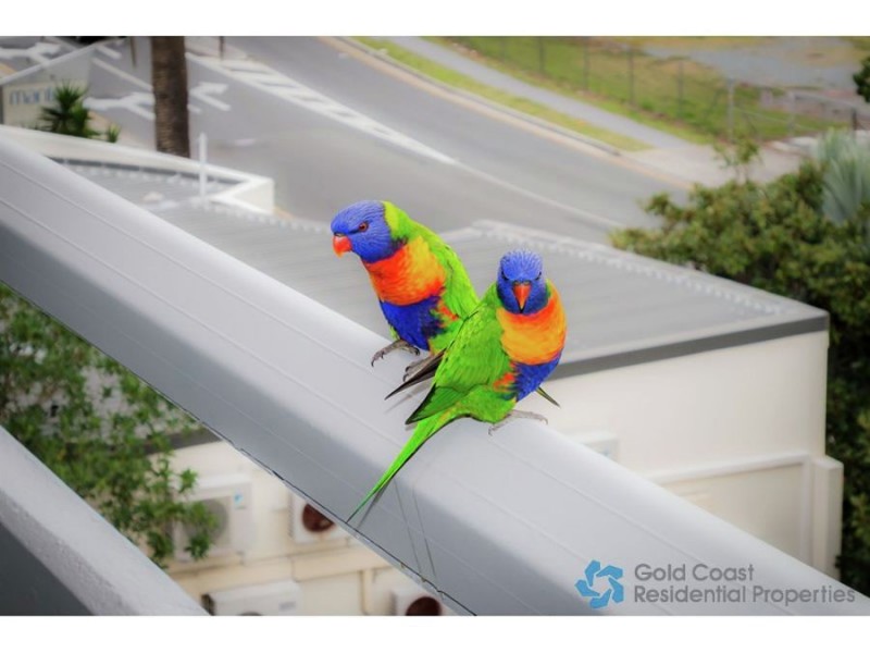 1 – 3 Old Burleigh Rd, Broadbeach QLD 4218