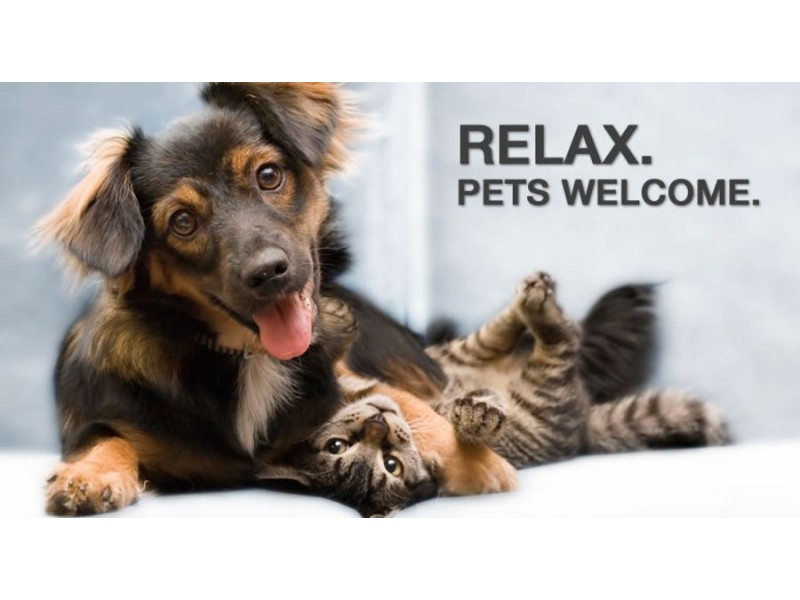 26/81 Olsen Ave, Labrador QLD 4215