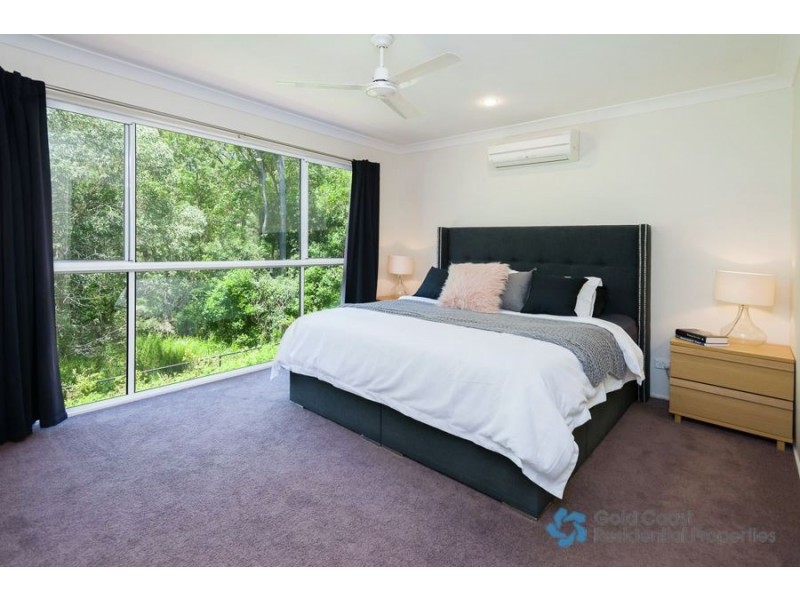 62 Cobb and Co. Drive, Oxenford QLD 4210