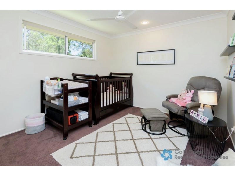 62 Cobb and Co. Drive, Oxenford QLD 4210