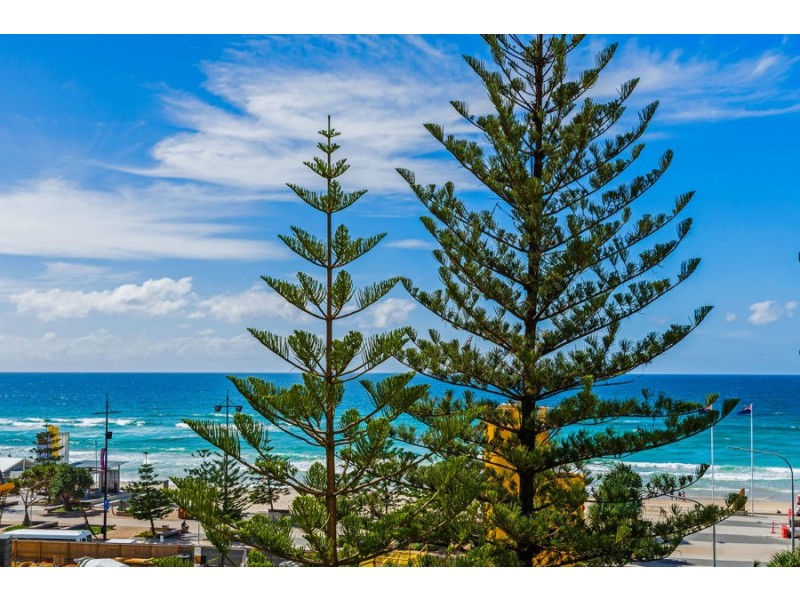 504/8-12 Trickett Street, Surfers Paradise QLD 4217